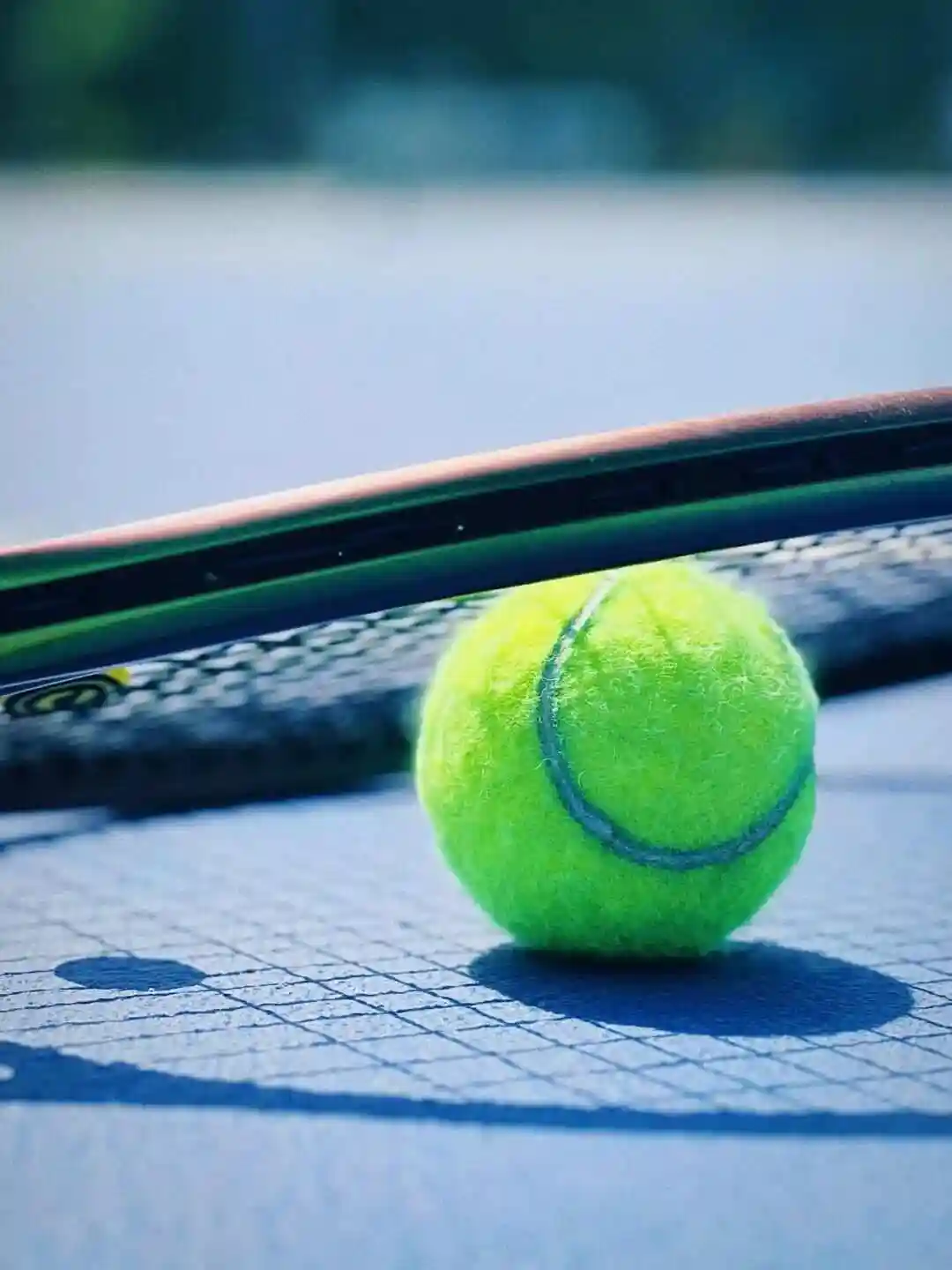 WTA阿布扎比站第五日：陶森VS凯斯勒